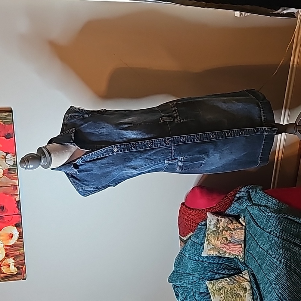 Vintage Blue jean dress
